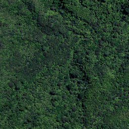 Satellite imagery of H5 ONEKURA, NZ