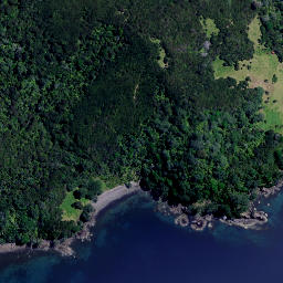 Satellite imagery of Motukauri Point, NZ