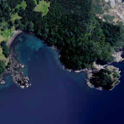 Satellite imagery of Motukauri Point, NZ