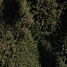Satellite imagery of Mount Tawonga, AU