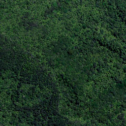 Satellite imagery of H5 ONEKURA, NZ