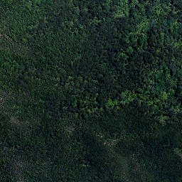 Satellite imagery of Puriora Point, NZ