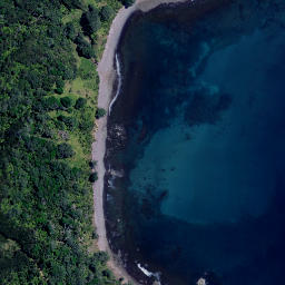 Satellite imagery of Puriora Point, NZ