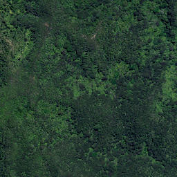 Satellite imagery of H5 ONEKURA, NZ