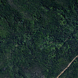 Satellite imagery of Puriora Point, NZ