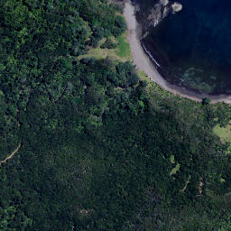 Satellite imagery of Puriora Point, NZ