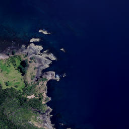 Satellite imagery of Puriora Point, NZ