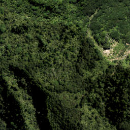 Satellite imagery of 861, NZ