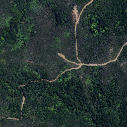 Satellite imagery of Puriora Point, NZ