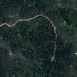 Satellite imagery of Puriora Point, NZ