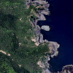 Satellite imagery of Puriora Point, NZ