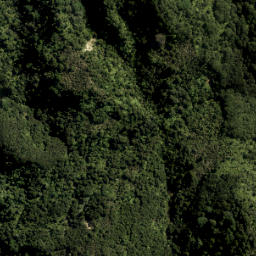 Satellite imagery of 861, NZ