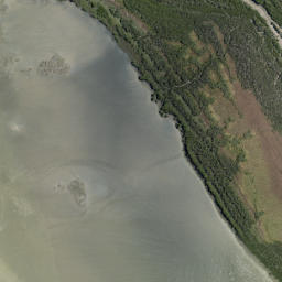 Satellite imagery of Oyster Point, NZ