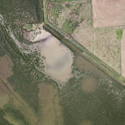 Satellite imagery of Oyster Point, NZ