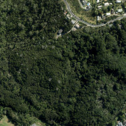 Satellite imagery of AK 281 SO 53633, NZ