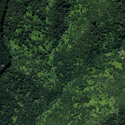 Satellite imagery of Urarima Pa, NZ