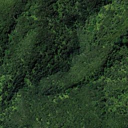 Satellite imagery of Tower Hill Pa, NZ