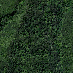 Satellite imagery of Tower Hill Pa, NZ