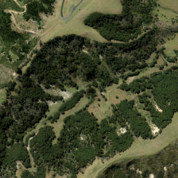 Satellite imagery of WILSON, NZ