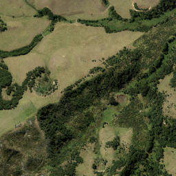 Satellite imagery of WILSON, NZ