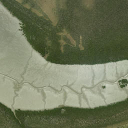 Satellite imagery of Oyster Point, NZ