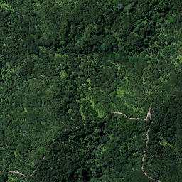 Satellite imagery of Tower Hill Pa, NZ