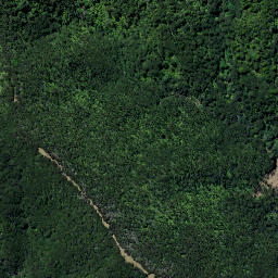 Satellite imagery of Tower Hill Pa, NZ