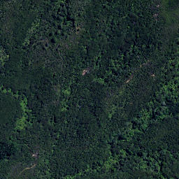 Satellite imagery of 4011, NZ