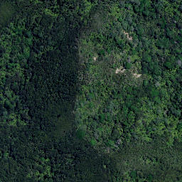 Satellite imagery of 4011, NZ