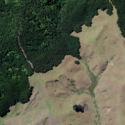 Satellite imagery of Tower Hill Pa, NZ