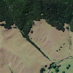 Satellite imagery of Tower Hill Pa, NZ