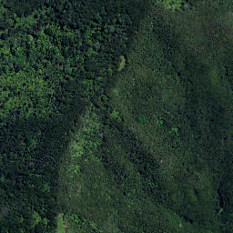 Satellite imagery of 4011, NZ