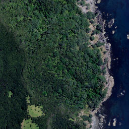 Satellite imagery of 4011, NZ