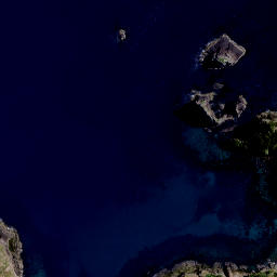Satellite imagery of Opitoiti Point, NZ