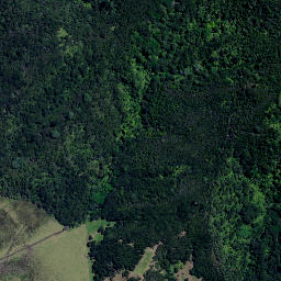 Satellite imagery of 4011, NZ