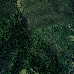 Satellite imagery of 4011, NZ