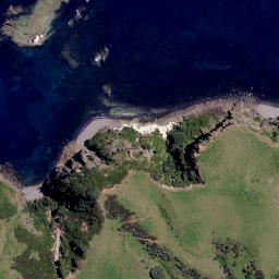 Satellite imagery of Tamewhera Point, NZ