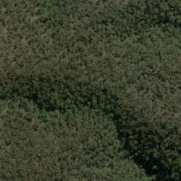 Satellite imagery of Bemboka Peak, AU