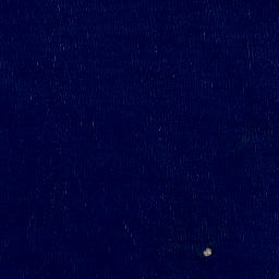 Satellite imagery of Haupapa Point, NZ