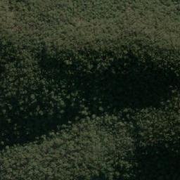 Satellite imagery of Bemboka Peak, AU