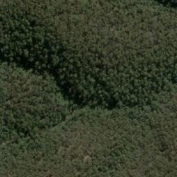 Satellite imagery of Bemboka Peak, AU