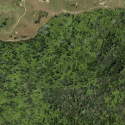 Satellite imagery of 923 RITEAKAWARAU, NZ