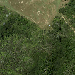 Satellite imagery of 923 RITEAKAWARAU, NZ