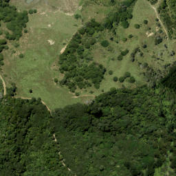 Satellite imagery of 923 RITEAKAWARAU, NZ