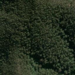 Satellite imagery of Bemboka Peak, AU
