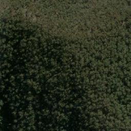 Satellite imagery of Bemboka Peak, AU