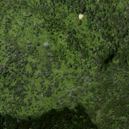 Satellite imagery of 923 RITEAKAWARAU, NZ