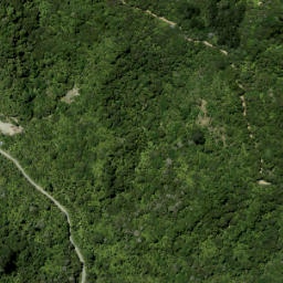 Satellite imagery of 923 RITEAKAWARAU, NZ