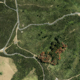 Satellite imagery of Whangaparaoa Head, NZ
