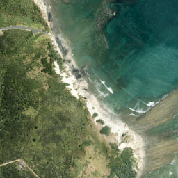 Satellite imagery of Whangaparaoa Head, NZ